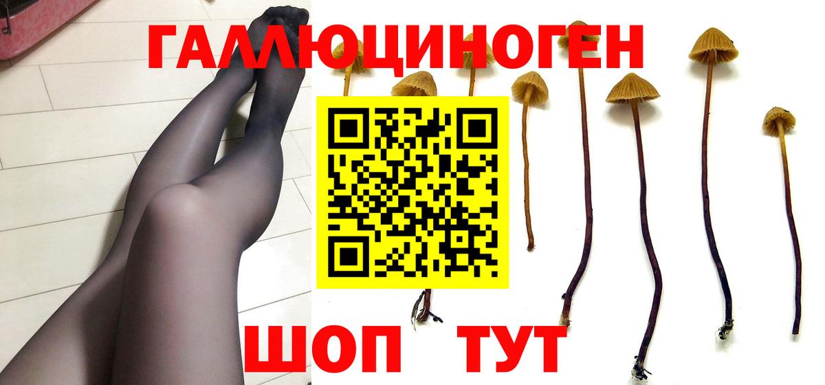 Псилоцибиновые грибы мицелий  купить  цена  Брянск  Вход с VPN 